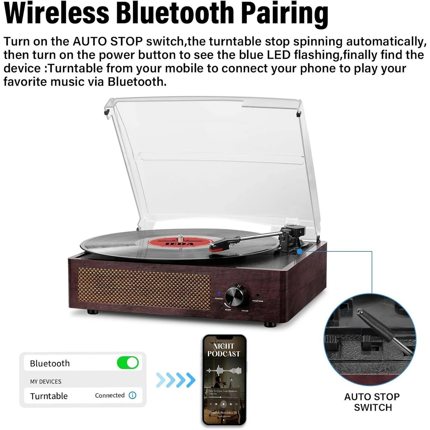Vinyl Record Player with Speakers