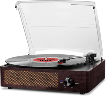 Vinyl Record Player with Speakers