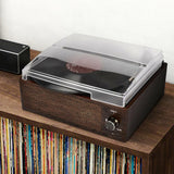 Vinyl Record Player with Speakers