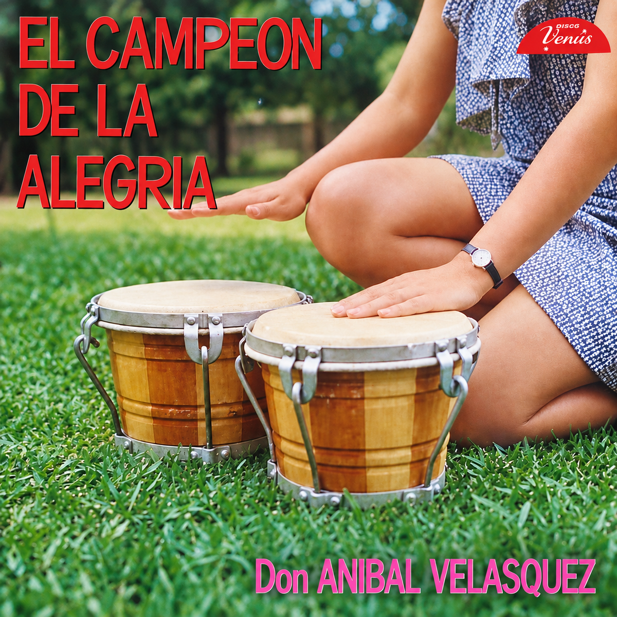 Anibal Velasquez - El Campeon De La Alegria