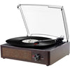 Vinyl Record Player with Speakers