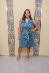 Dark Denim Button Down Dress