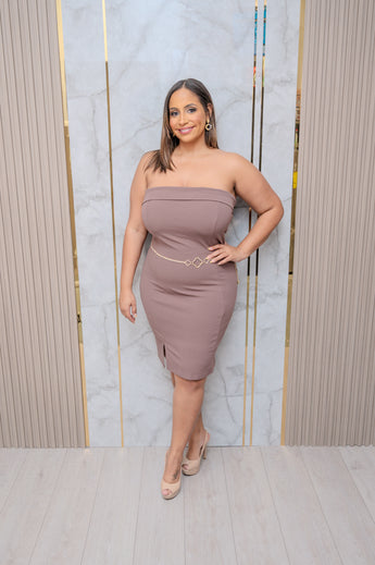Mocha Tube Mini Dress