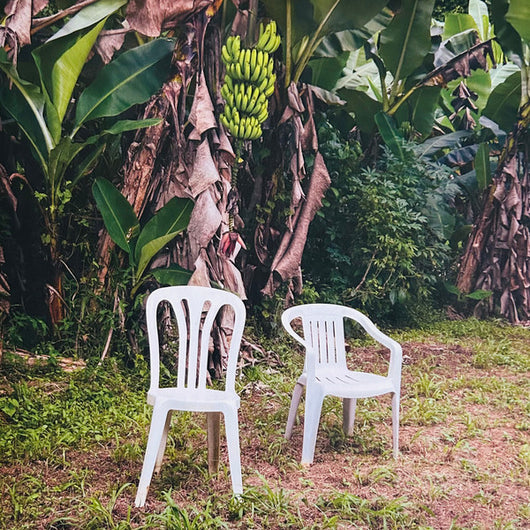 Bad Bunny - Debi Tirar Mas Fotos (2LP) (White)