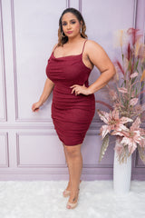 Burgundy Mesh Glitter Cowl Neck Dress